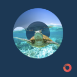 Nasz team incentive travel najs.world pracował m. in. w Japonii, na Sri Lance, Cabo Verde, we Francji i w Wielkiej Brytanii.